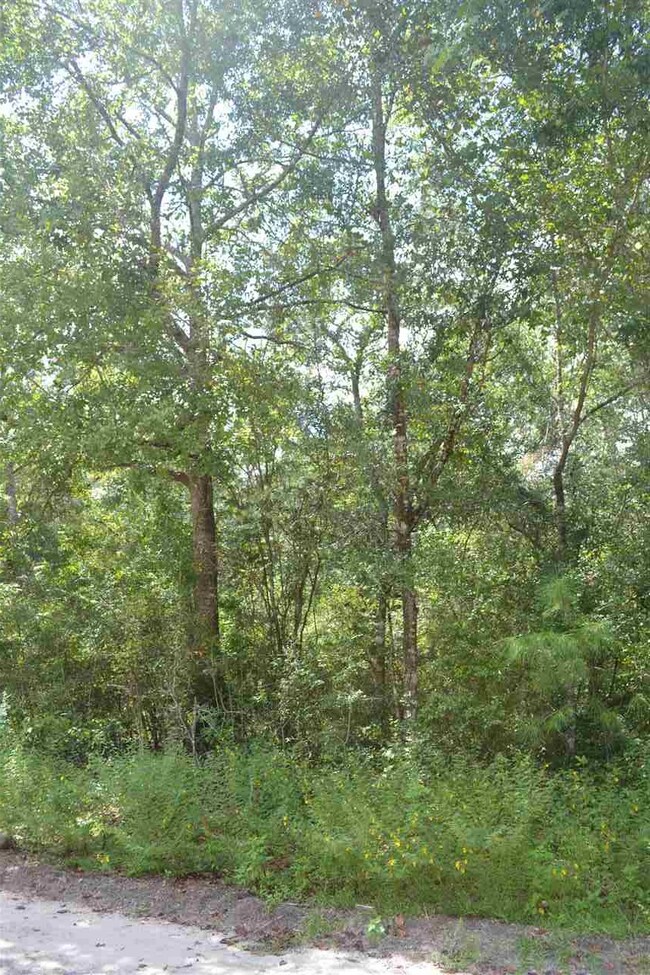 0 Stanley Dr unit 1 285444, Crawfordville, FL 32327 - photo 3