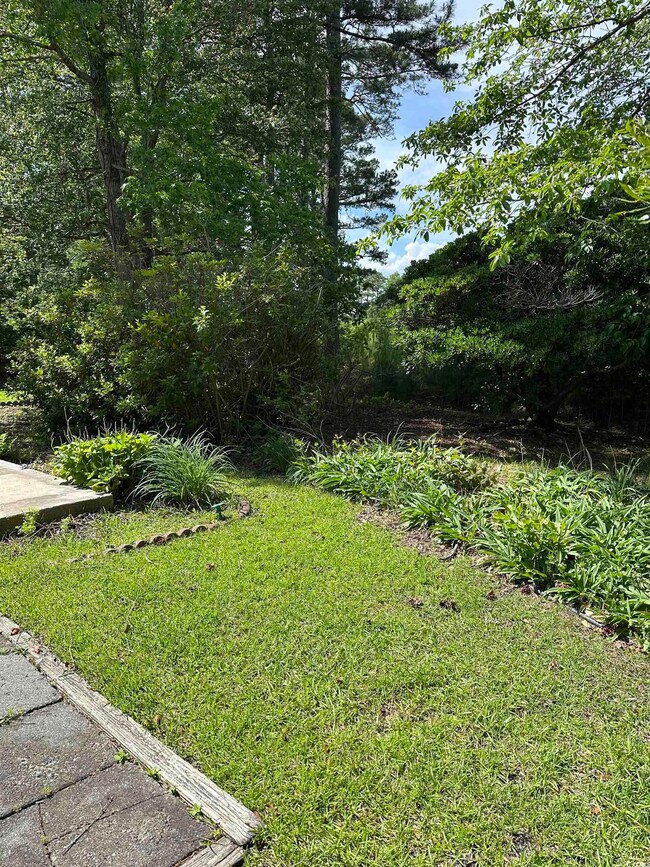 View of grassy yard