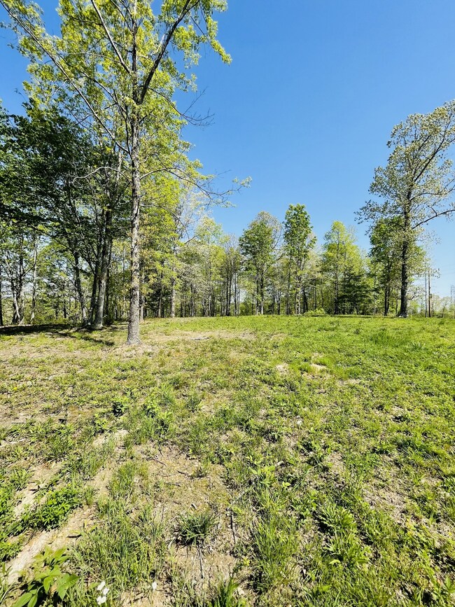 0 Saddlebrook Dr, Hohenwald, TN 38462 - photo 5