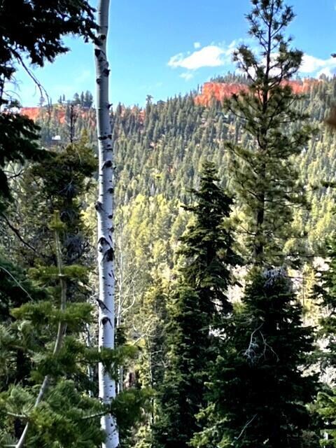 1110 W Big Horn Cir, Duck Creek Village, UT 84762 - photo 7