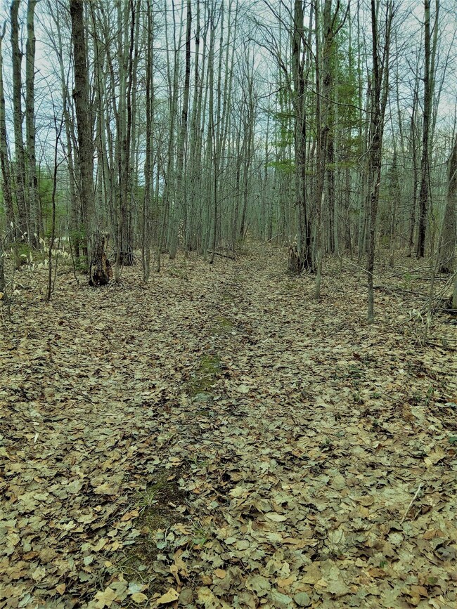 20230415_164858 (3)