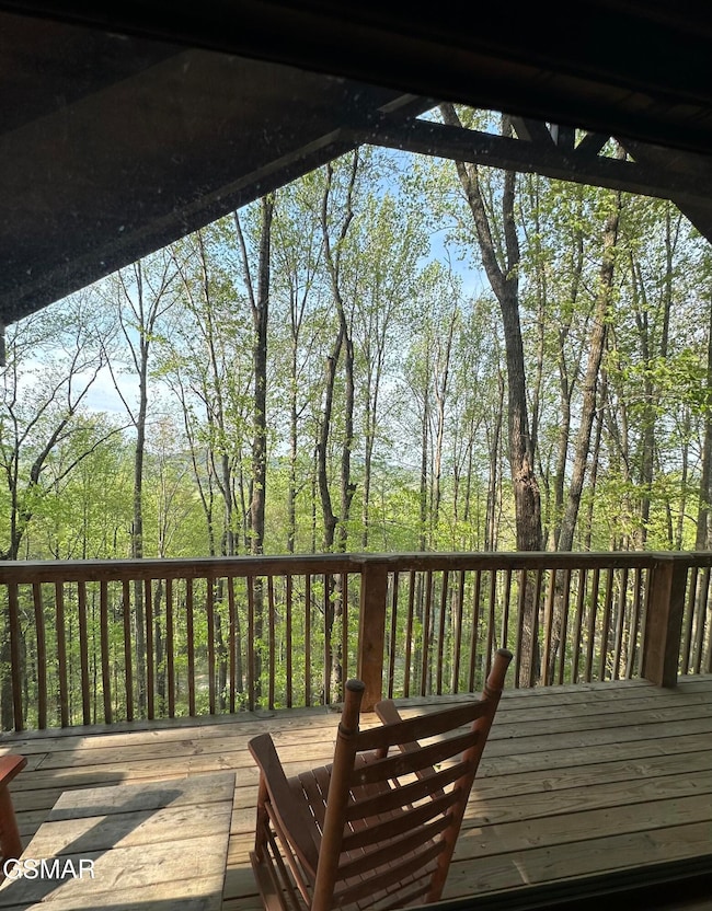 4080 Ole Smoky Way, Sevierville, TN 37862 - photo 5