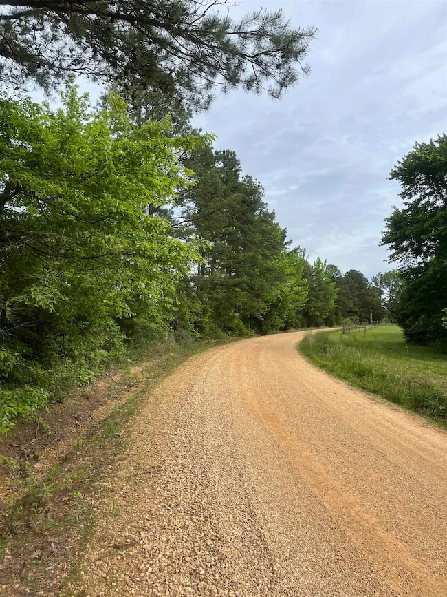 View of dirt / gravel road featuring a forest view