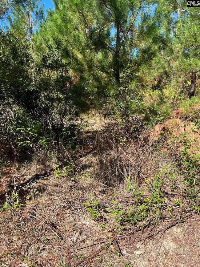 Bff 1e Brunson Teal Rd unit Bff 1e, Patrick, SC 29584 - photo 3