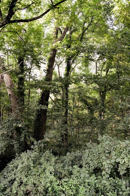 w W Base Rd, Arlington, IN 46104 - photo 6