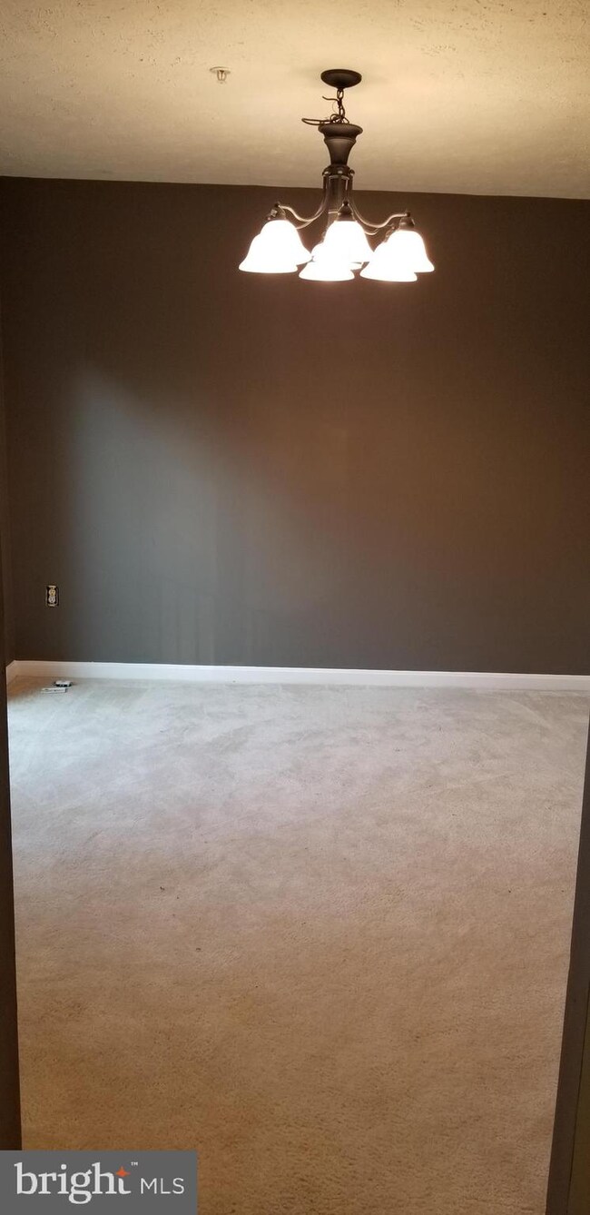 7164 Mahogany Dr, Hyattsville, MD 20785 - photo 7