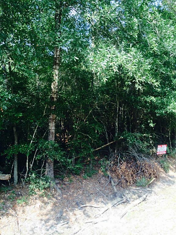 0 Friendship Ln, Conroe, TX 77385 - photo 5