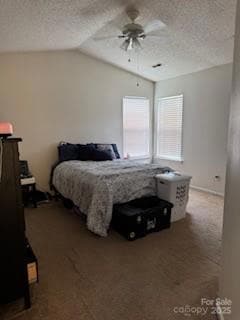 Primary Bedroom Vaulted Ceiling
