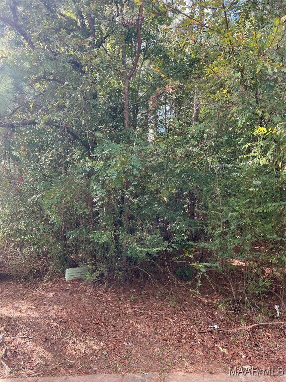 0 Oak Ln unit 3 580314, Childersburg, AL 35044 - photo 4