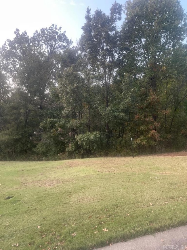 0 E Oaks Cove, Forrest City, AR 72335 - photo 3