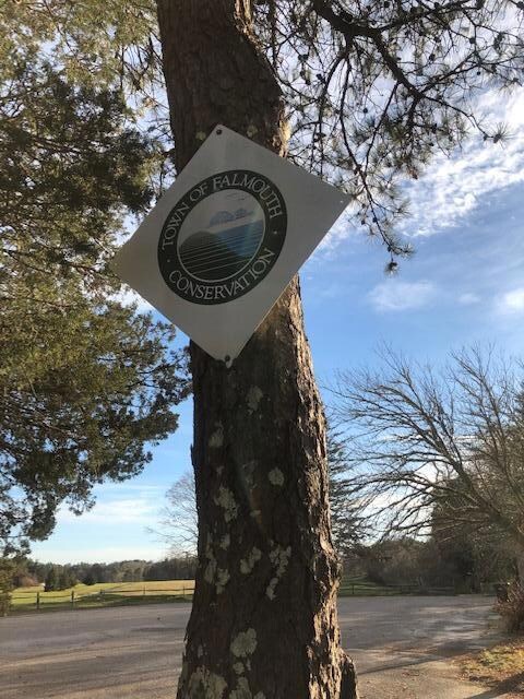 326 Boxberry Hill Rd, East Falmouth, MA 02536 - photo 4