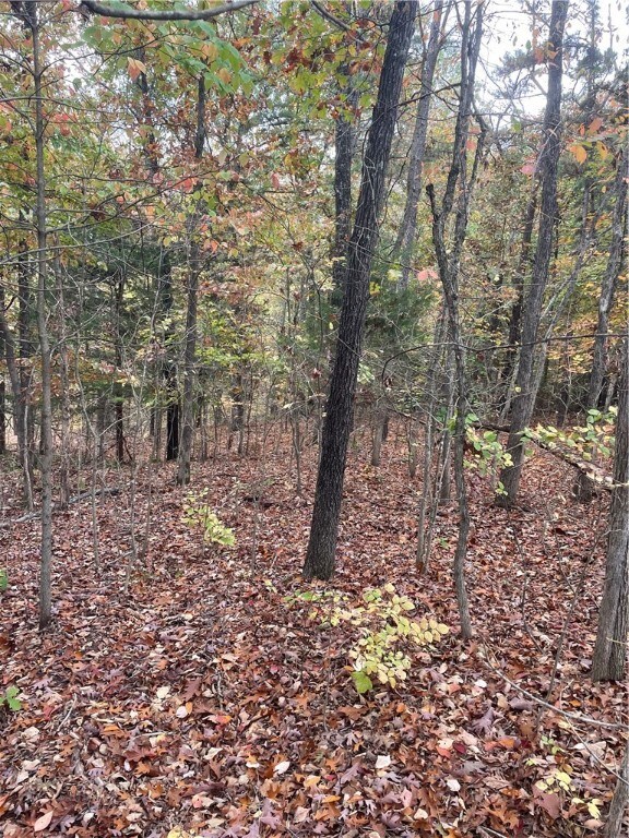 0 Grace Ln, Bella Vista, AR 72715 - photo 4