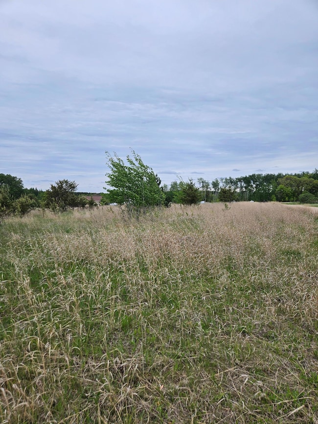 TBD Pillager Creek Trail SW, Pillager, MN 56473 - photo 3