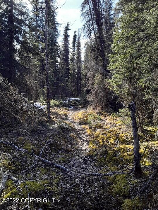 Resized-20220429-173150