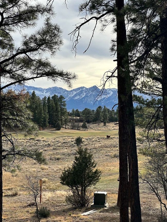 46 Marmot Dr, Loghill Village, CO 81432 - photo 3