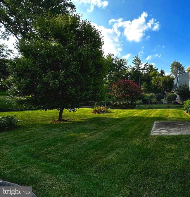 14800 Notley Rd, Silver Spring, MD 20905 - photo 4