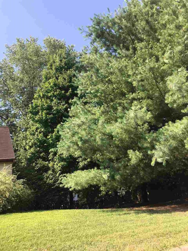 451 David Dr, Bloomfield, IN 47424 - photo 4