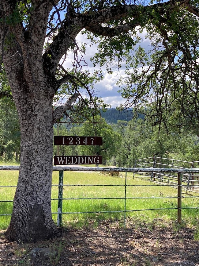 12339 Fern Rd, Whitmore, CA 96096 - photo 6