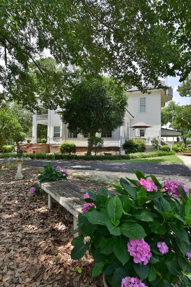 302 Lundy Rd, Sylvester, GA 31791 - photo 6