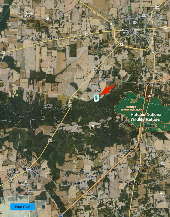 00 Shaw Chapel Rd, Brownsville, TN 38012 - photo 7