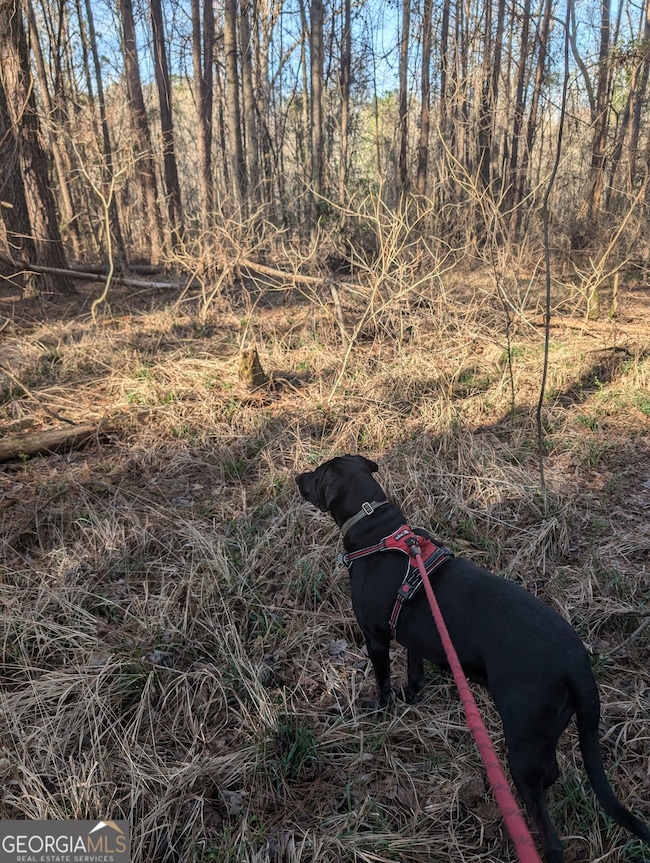 0 Parker Rd unit 10461595, Dry Branch, GA 31020 - photo 4