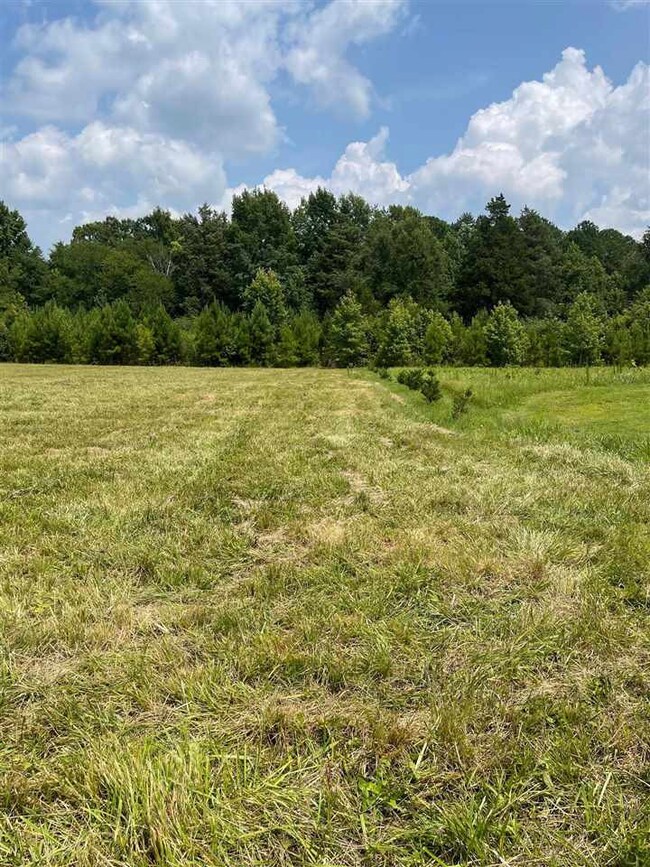 0 Major Lee Rd unit 2399656, Center, NC 27312 - photo 3