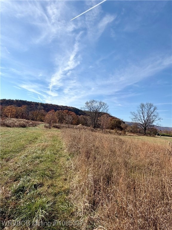 TBD Cr 4730, Hagarville, AR 72839 - photo 2