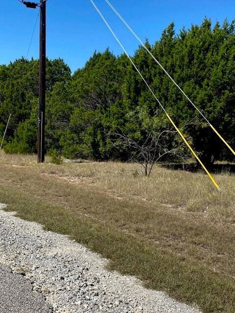 43003 Whisperwood Dr, Whitney, TX 76692 - photo 3