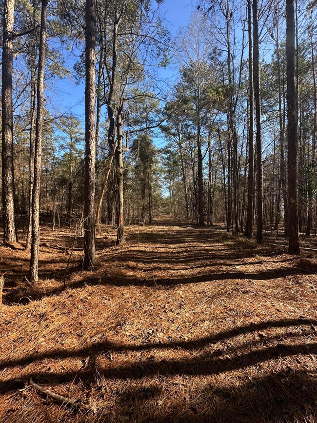 LOT 37 Petersburg Trace, Lincolnton, GA 30817 - photo 4