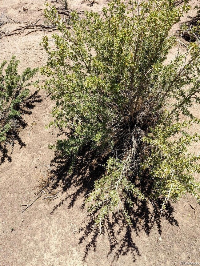 2912 County Road 112 S, Alamosa, CO 81101 - photo 7