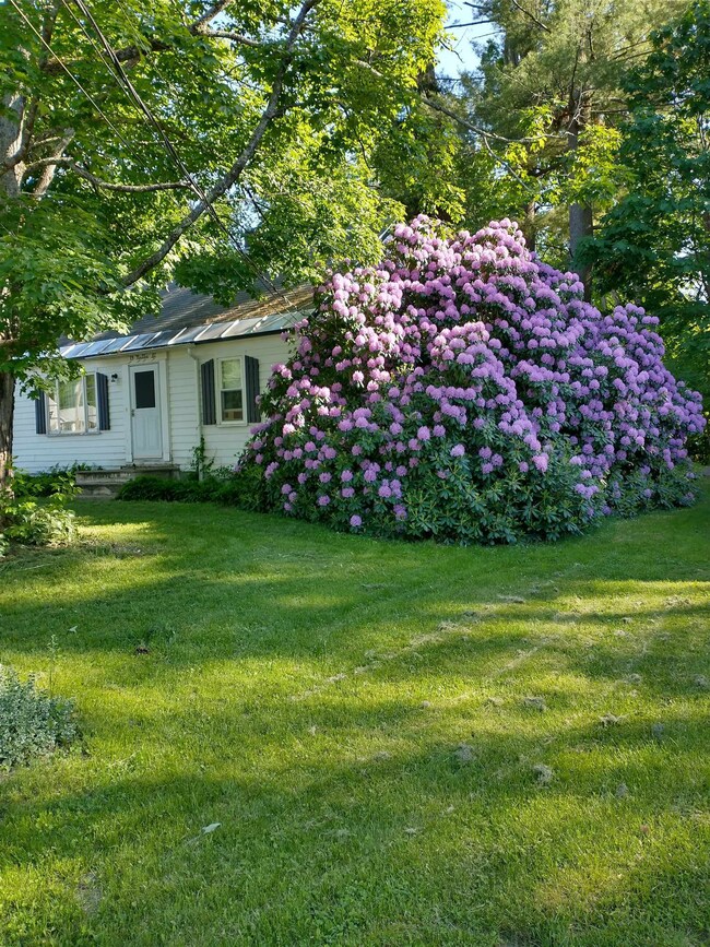 19 Nutter St, Rochester, NH 03867 - photo 2