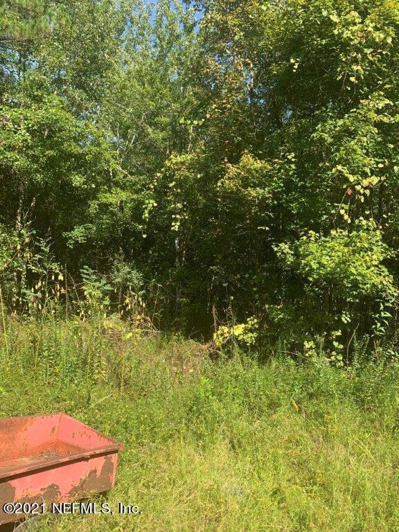 4133 Osceola Trail, Middleburg, FL 32068 - photo 7