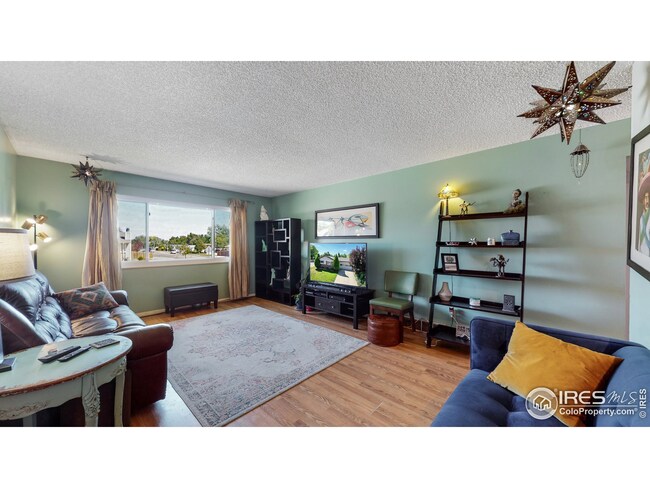 Living Room w/ Loads Natural Light