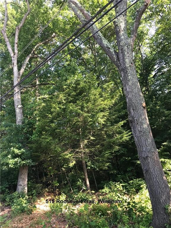 unlisted-address, Windham, ME 04062 - photo 2