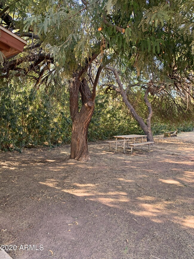 SE Corner of Property 1