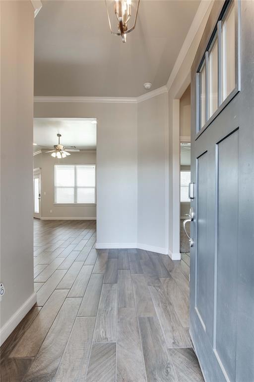 Foyer featuring ornamental molding, wood finish floors, and ceiling fan