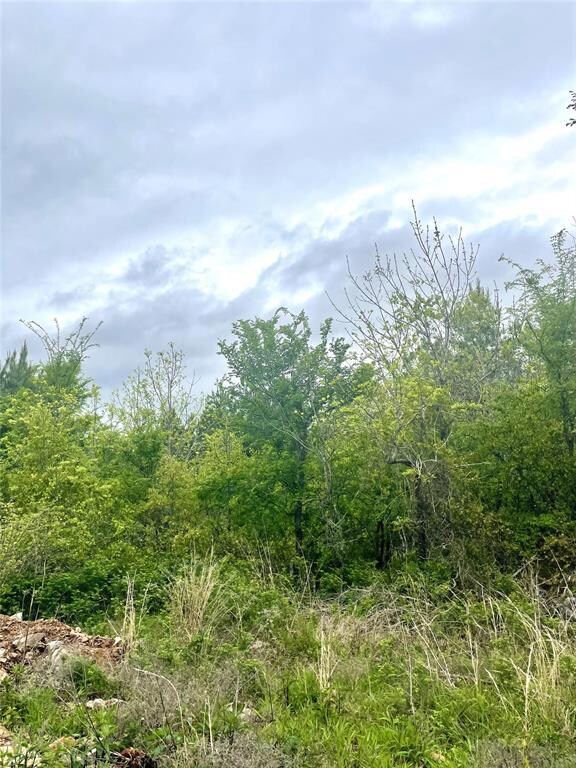 149 Chasing Stella Ln, Hochatown, OK 74728 - photo 3