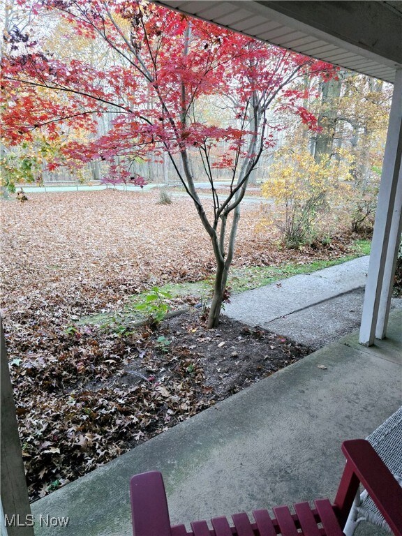 1550 N County Line Rd, Geneva, OH 44041 - photo 3