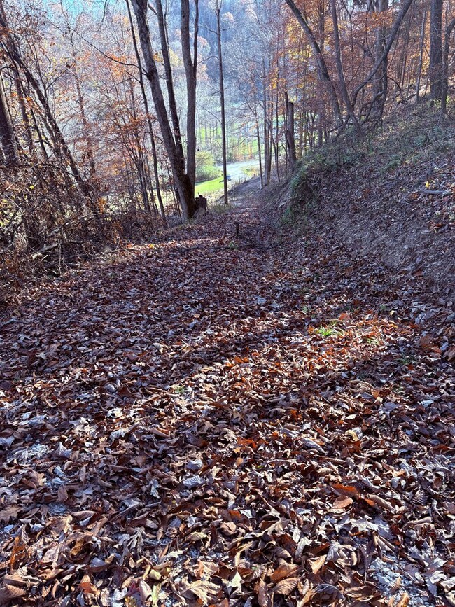 0 None unit 126826, Hager Hill, KY 41222 - photo 3