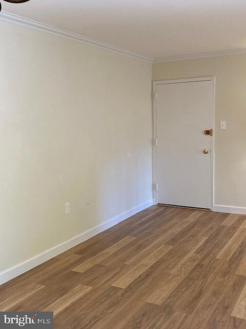 5911 Quantrell Ave unit T3, Alexandria, VA 22312 - photo 7