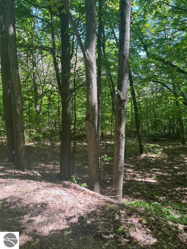 Parcel B No 45 Rd, Manton, MI 49663 - photo 5
