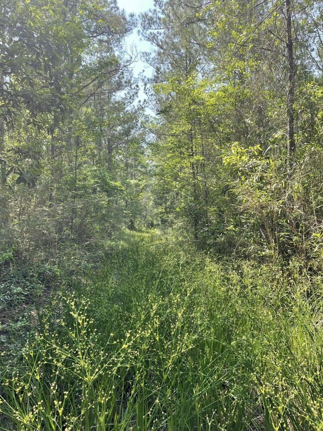 Raw Dew H rear lane