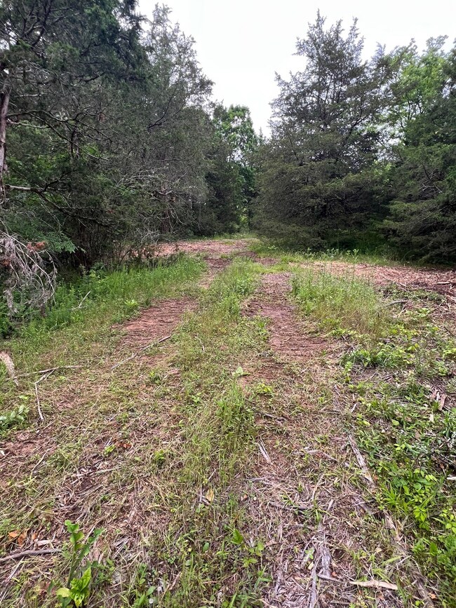 1360 Case Rd, Prospect, TN 38477 - photo 5