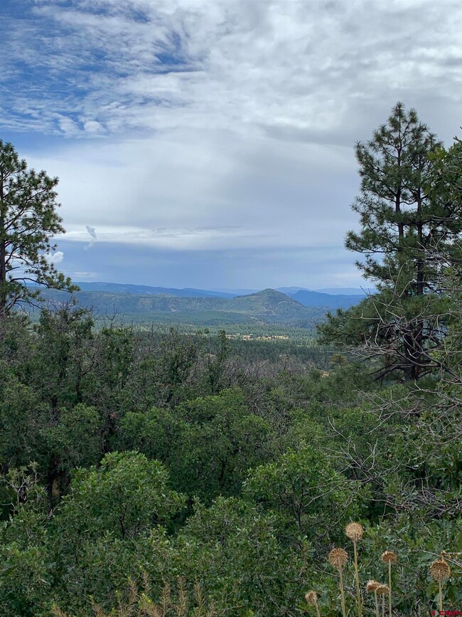 13450 U S 160, Durango, CO 81301 - photo 3