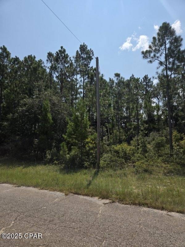 00 Flagler Dr, Chipley, FL 32428 - photo 5