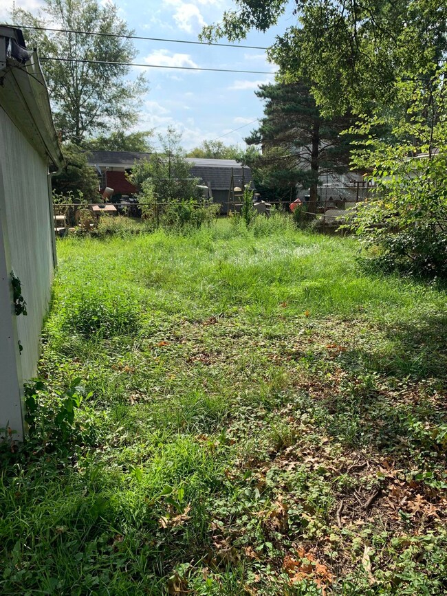 Photo Aug 02, 10 21 43 AM