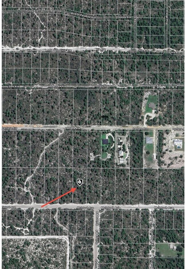 2132 Mcintosh Ave, Sebring, FL 33875 - photo 5