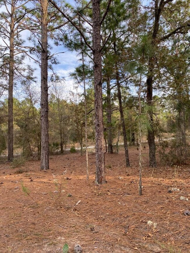 0 SW 209 Ct unit 781005, Dunnellon, FL 34431 - photo 6