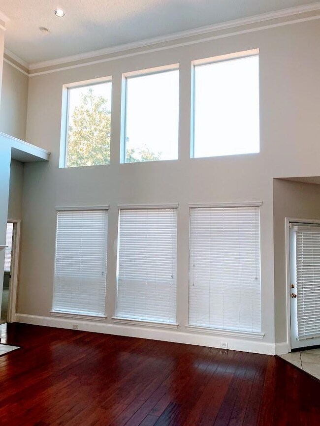 Look at all of the windows and how bright it is. N