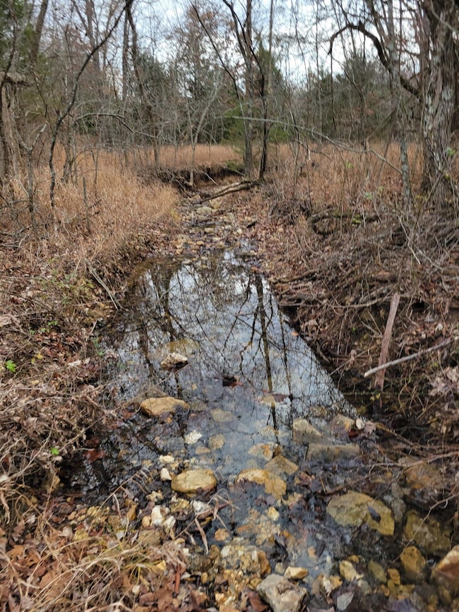 0 Minnow Branch Rd, Buffalo Township, MO 65078 - photo 5